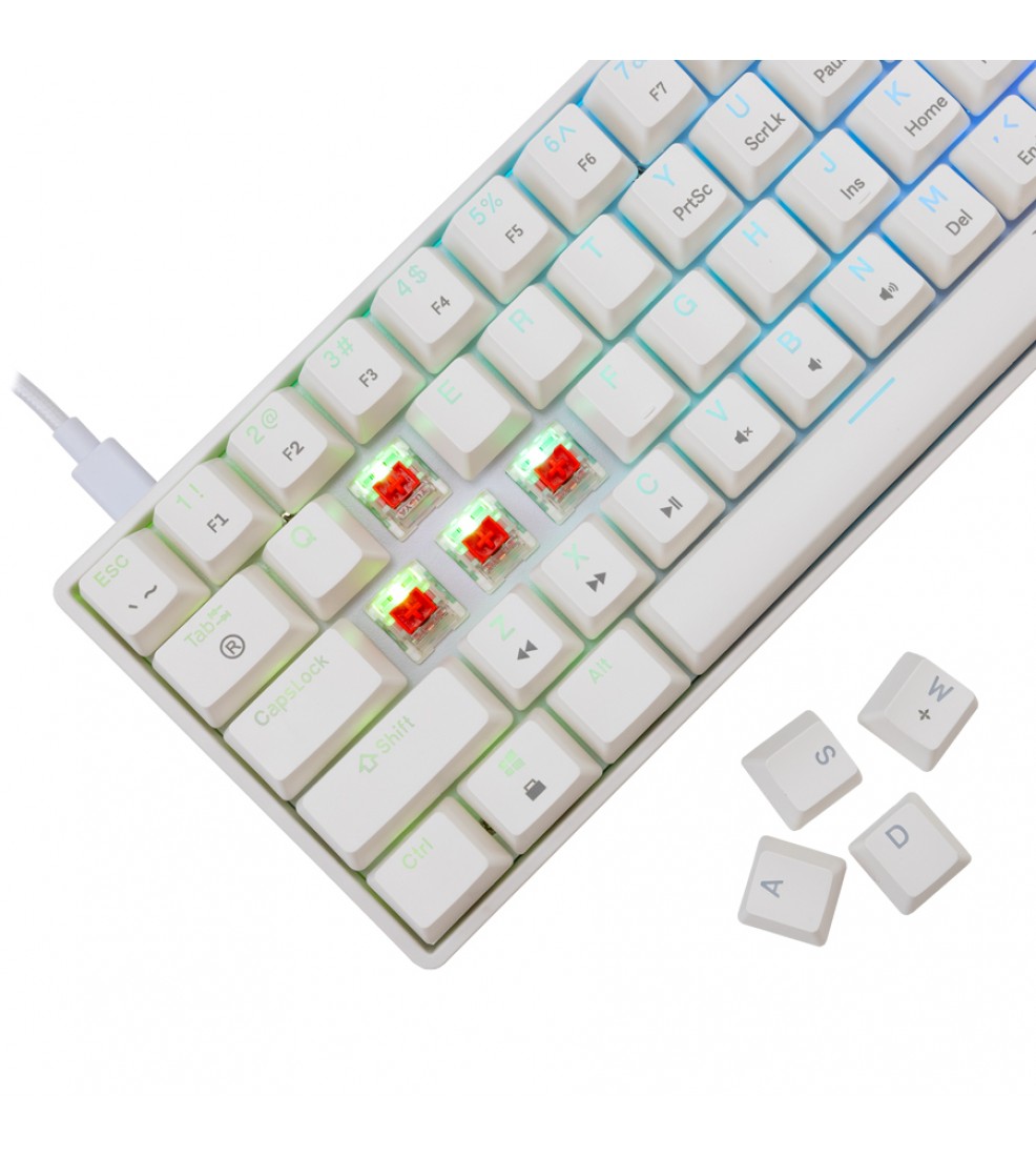 White Shark GK-004212 Shinobi 2 mehanička tipkovnica, HR, RED SW, bijela